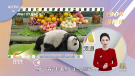 阿德里安坦言在出演了冯小刚的《一九四二》后就有了中国情结，他也透 奥斯卡影帝阿德里安·布洛迪也成打星！
